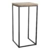 Fiona Wood Top Plant Stand With Metal Base, Large 2 Fiona Wood Top Plant Stand With Metal Base, Large -Furniture Series Sale fiona wood top plant stand with metal base large