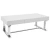 Laila Ali Astrid White Coffee Table -Furniture Series Sale laila ali astrid white coffee table